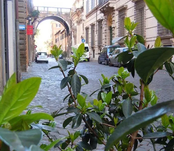 Appartamento Via Giulia Roma